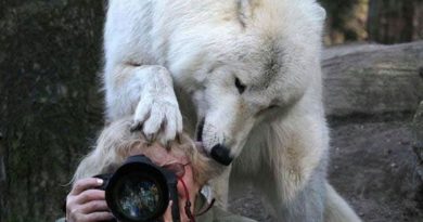 На што се се подготвени фотографите за да дојдат до совршена фотографија На што се се подготвени фотографите за да дојдат до совршена фотографија