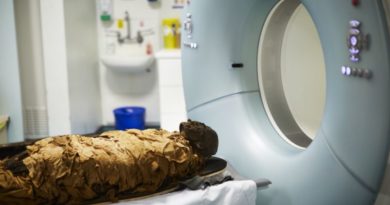 Научници ѝ го вратија гласот на мумија стара 3.000 години (ВИДЕО) Научници ѝ го вратија гласот на мумија стара 3.000 години (ВИДЕО)