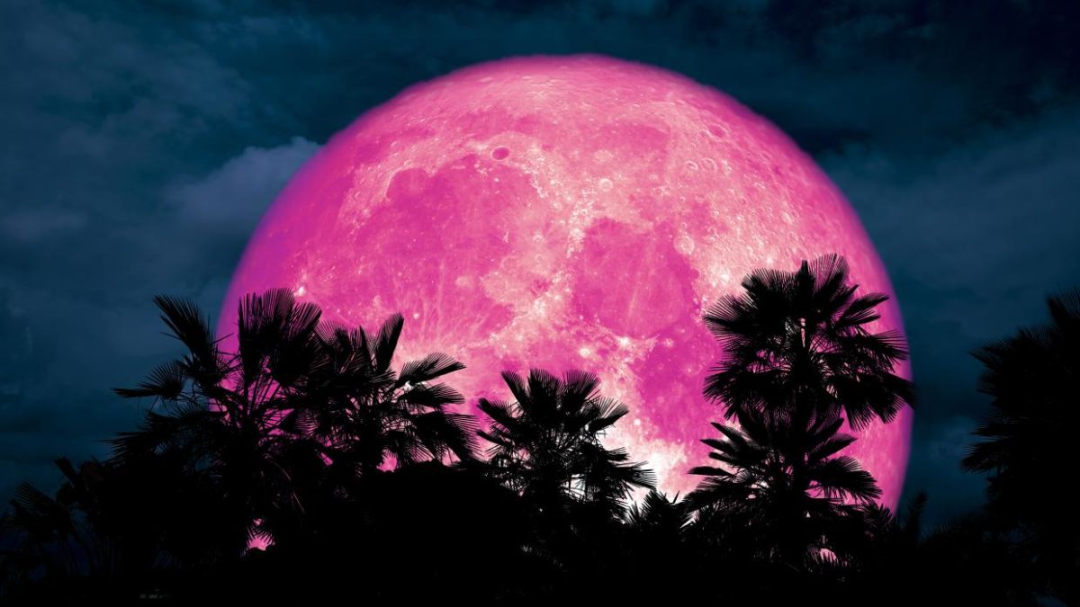Супер розовата Месечина вечерва ќе биде најголема оваа година (ВИДЕО)