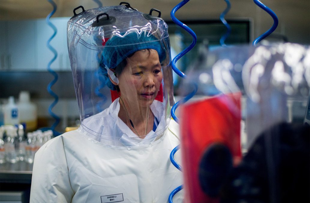 Кинеска истражувачка предупредува дека коронавирусот е само „врв на ледениот брег“