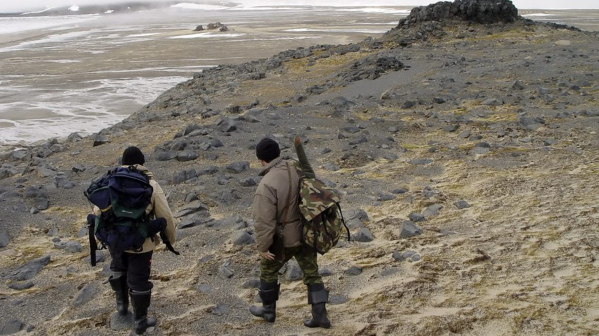 Руски ученици открија нов остров на Арктикот