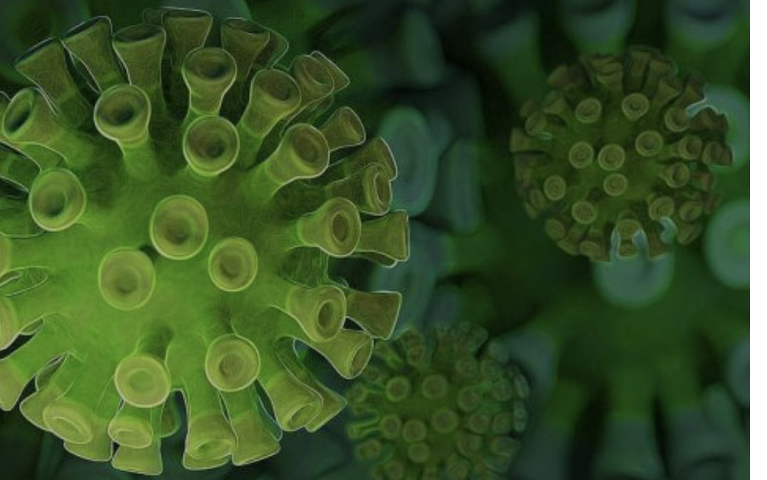 Руски истражувачки центар: Откриени повеќе од 80 мутации на новиот коронавирус