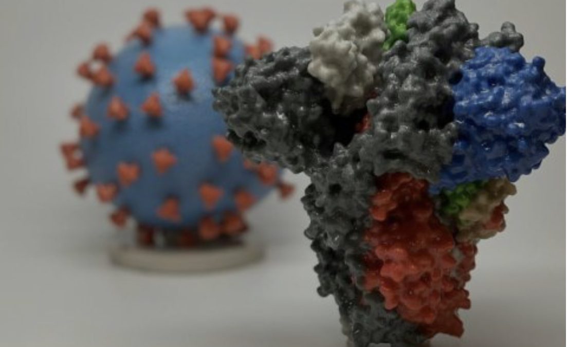 Во 2021 година ќе има многу нови мутации на коронавирусот