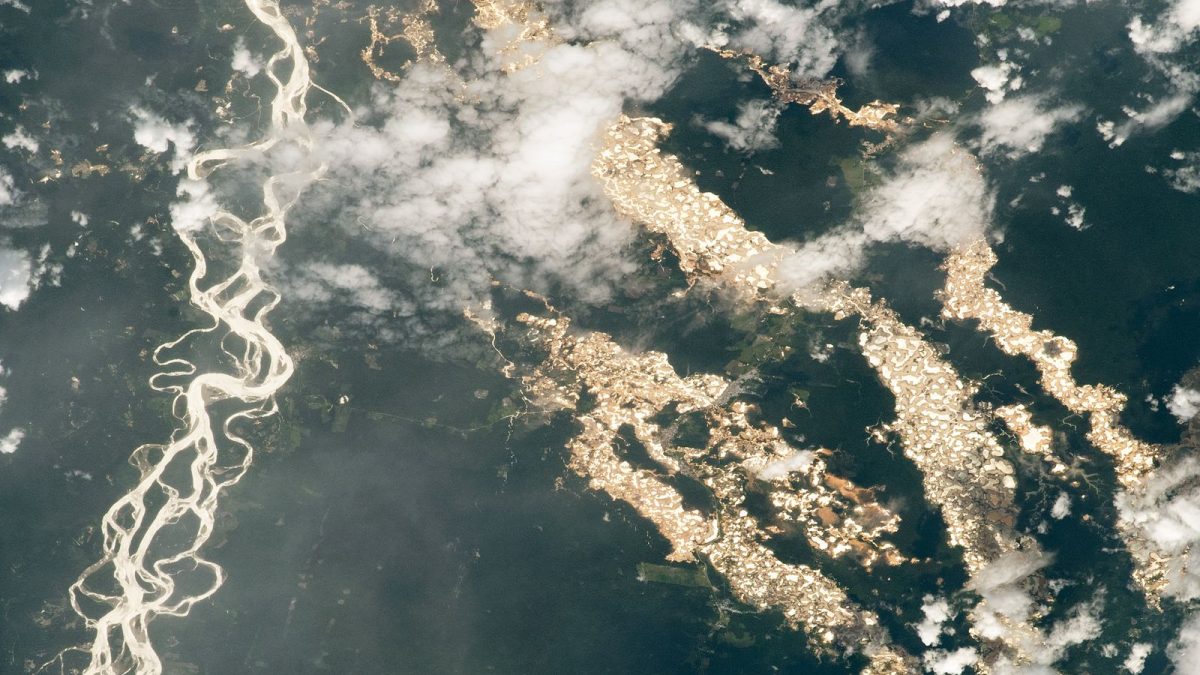 Неверојатна фотографија на NASA открива „реки од злато“ во Амазонската прашума