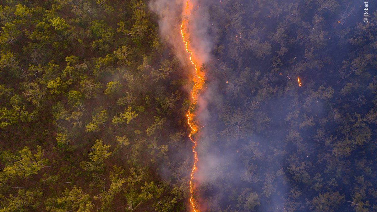 Роберт Ирвин награден за фотографија на пожар во Австралија снимена со дрон