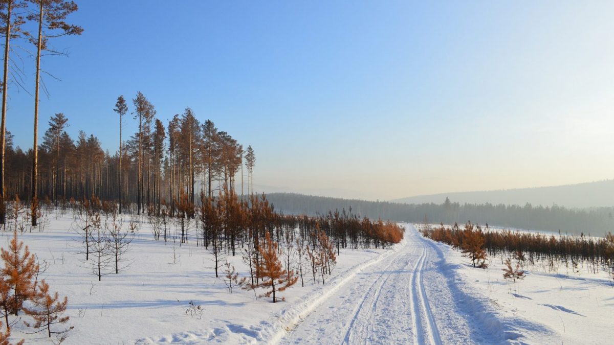 Во сибирскиот снег е пронајдена микропластика, се стравува за тлото