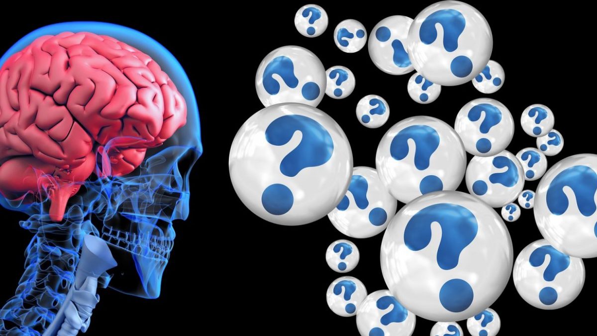 Научниците открија: Машкиот мозок има многу заедничко со тестисите