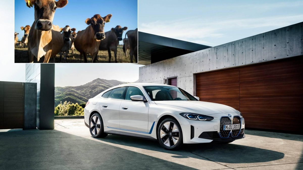 BMW ќе користи кравји измет за погон на електричните автомобили