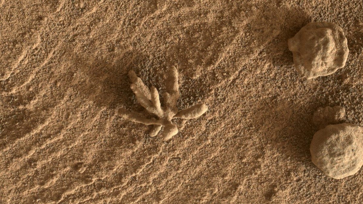 Роверот Curiosity сними фасцинантен „камен цвет“