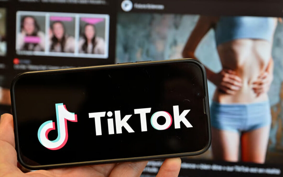 TikTok забранува пристап до цела една тема