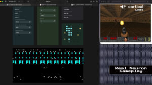 ВИДЕО: Научниците создадоа „жив компјутер без мозок“